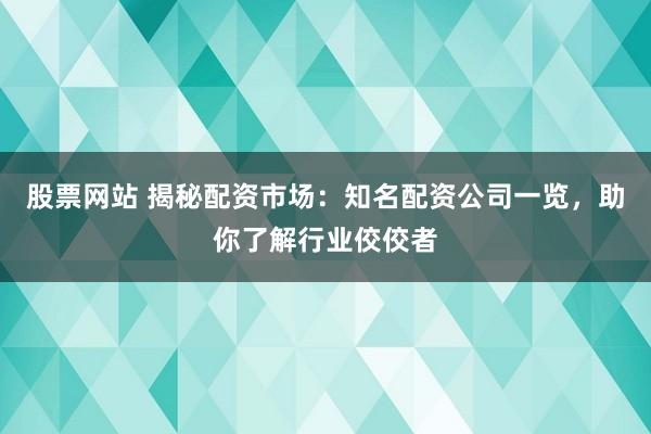 股票网站 揭秘配资市场：知名配资公司一览，助你了解行业佼佼者