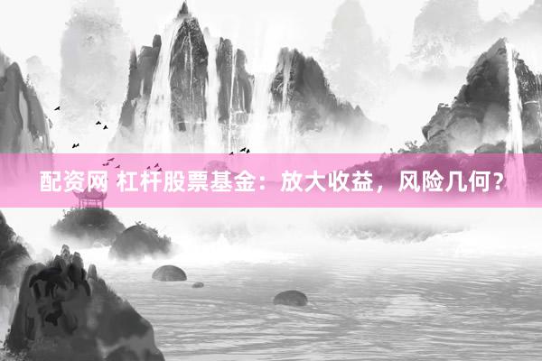配资网 杠杆股票基金：放大收益，风险几何？