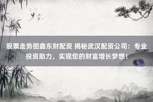 股票走势图鑫东财配资 揭秘武汉配资公司：专业投资助力，实现您的财富增长梦想！