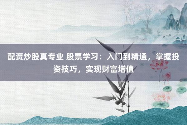 配资炒股真专业 股票学习：入门到精通，掌握投资技巧，实现财富增值