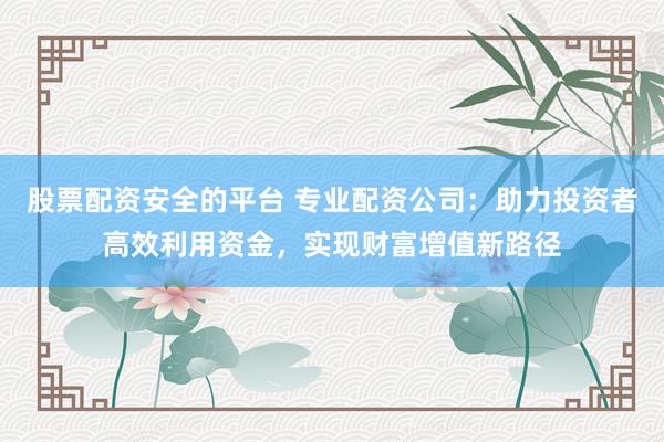 股票配资安全的平台 专业配资公司:助力投资者高效利用资金,实现财富增值新路径