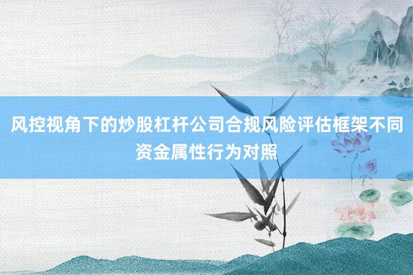 风控视角下的炒股杠杆公司合规风险评估框架不同资金属性行为对照