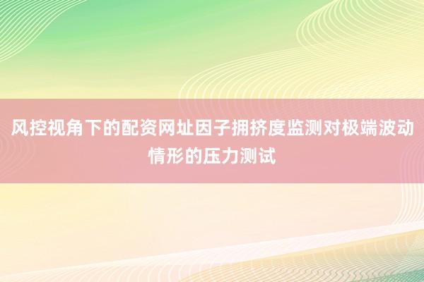 风控视角下的配资网址因子拥挤度监测对极端波动情形的压力测试