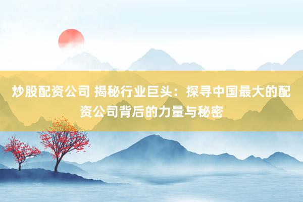 炒股配资公司 揭秘行业巨头:探寻中国最大的配资公司背后的力量与秘密