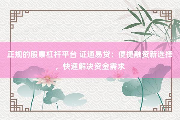 正规的股票杠杆平台 证通易贷：便捷融资新选择，快速解决资金需求